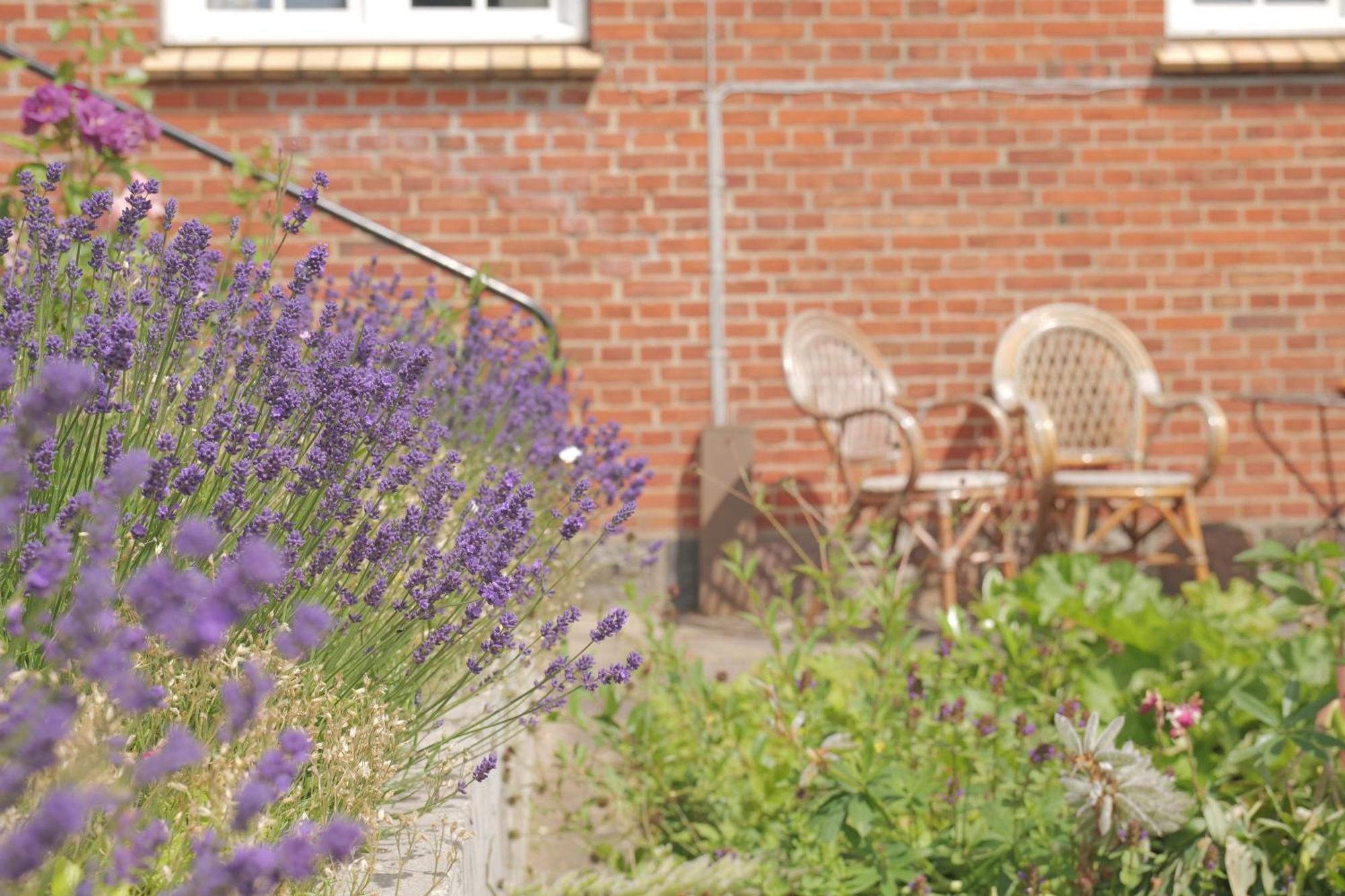 Huset I Hejls Bed & Breakfast ภายนอก รูปภาพ